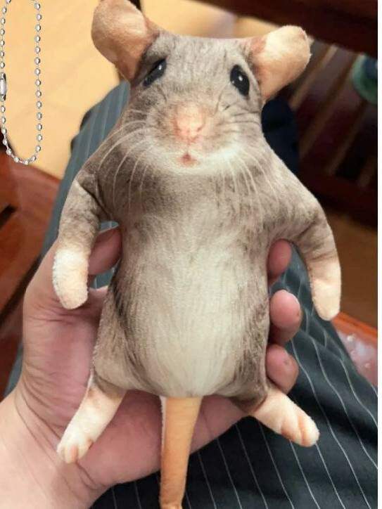 Realistic Mouse Carrier
