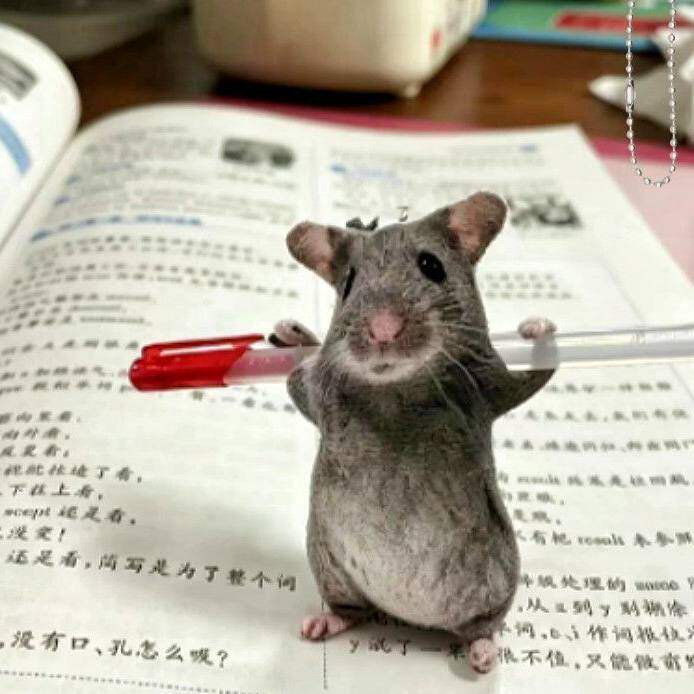 Realistic Mouse Carrier